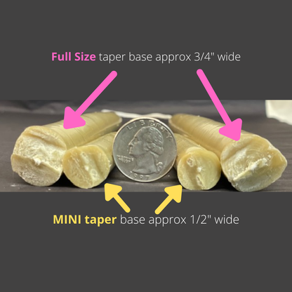 Bayberry Mini Tapers 1/4 scale